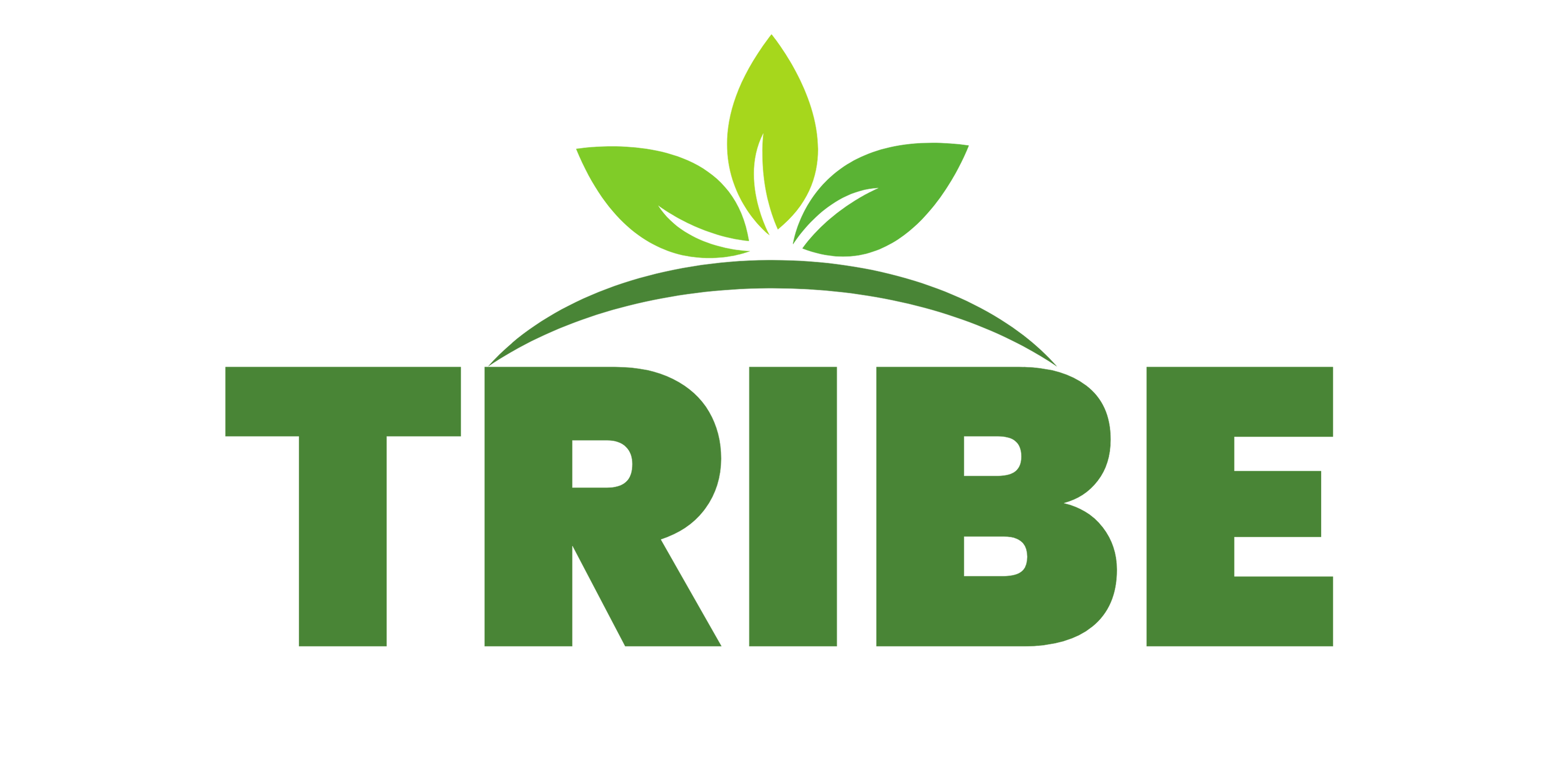 TRIBE Logo
